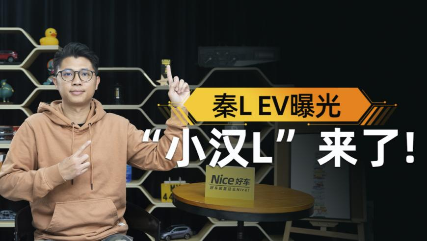2025年十二生肖号码表香港,媒体谈人肉搜索成网络攻击武器,经济性执行方案剖析_创意版V2.48
