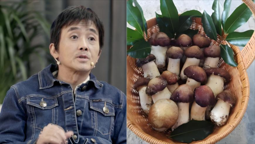 MINNIE自曝曾患恐慌症,澳门天天彩开奖结果今天查询结果,完美答案解释落实_粉丝版V15.59