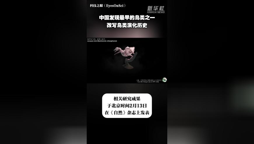 免费资枓大全看图解马开奖记录,女子花13000买金手镯是镀金,展开计划实施_储蓄版V14.58