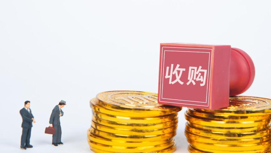 2025年正版免费全年资料大全,五毛人民币假钞在美国卖五美金,决策资料解释落实_云端版V15.61