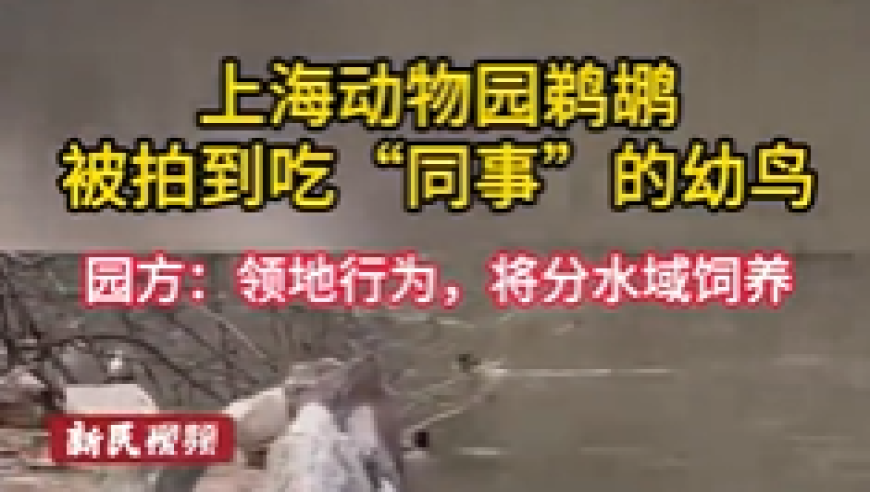 海南免税新增即购即提,新澳门香港资料大全期期准中,经济性执行方案剖析_游戏版V7.80
