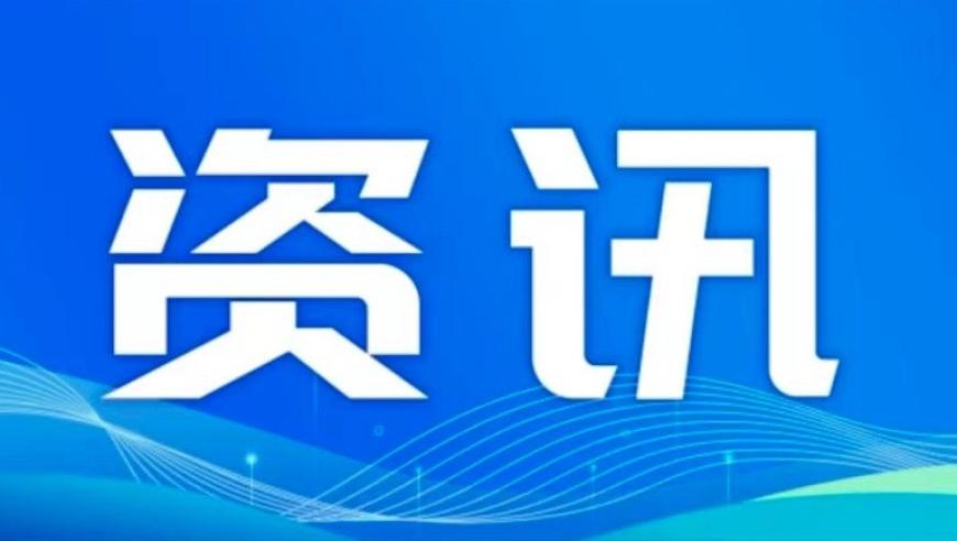 马伊琍平替也太像了,澳门二四六天天好彩凤凰网站,创造力策略实施推广_精简版V11.31