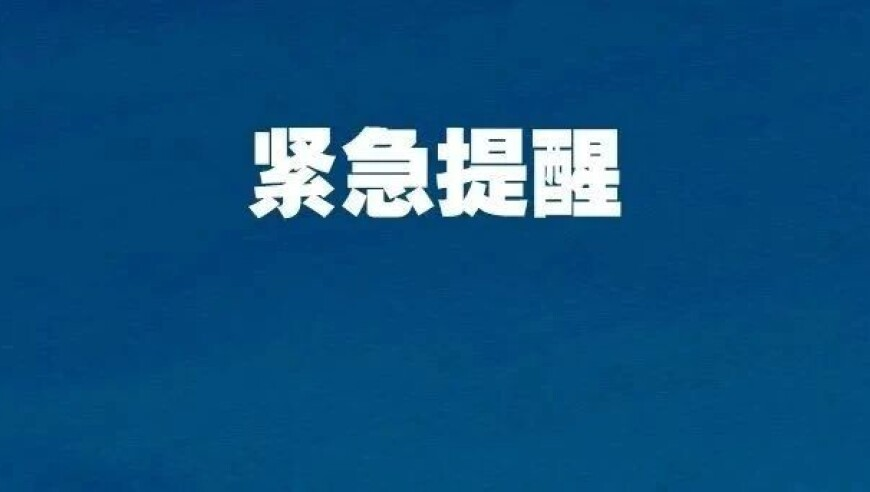七连败而不知自省乎,香港红姐123免费马报图库,最新答案解释落实_正式版V8.77